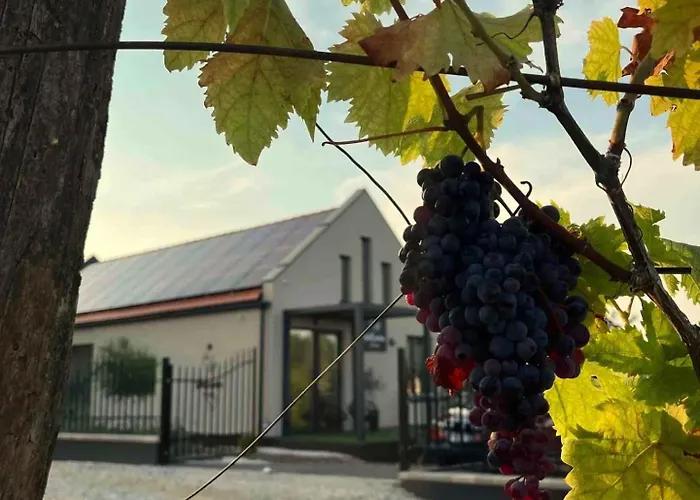 펜션 In - Ostungarn 53339